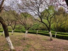 -南山植物园