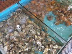 -景好海鲜餐厅(大鹏必选旅游店)