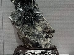 -湖南省地质博物馆