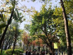 -晓港公园