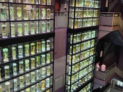 -广东中医药博物馆