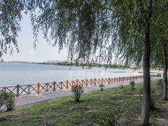 -丁香湖公园