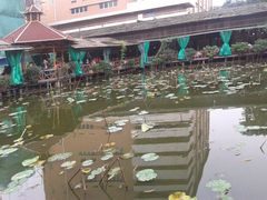 2013-04-09 12.42.10-荷香居(洞企石路店)