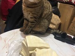 -华良切面店(航建大楼店)