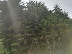 -迪茵湖田家舍生态农场