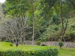 -清湖文化公园