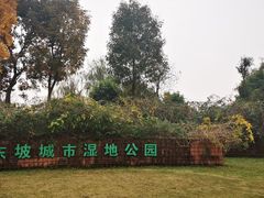-眉山湿地公园(东坡区)