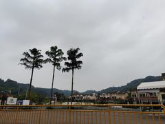 -重庆海昌加勒比海水世界