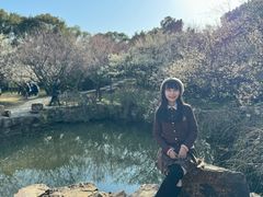 -香雪海
