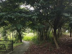 -谷丰健康凤贤居酒家