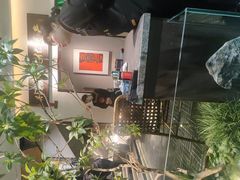 -杏花村水席楼·洛阳水席(老城十字街店)