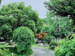 -日出青木·杭帮菜名店