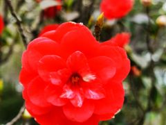 -玄武湖景区-情侣园游乐场