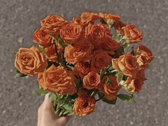 -杭州城北体育公园