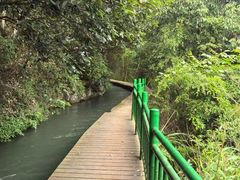 -芦茨金富饭庄·25年老字号·专做稻草鸡