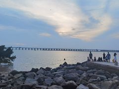 -宝安西湾红树林湿地公园