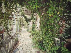 -小仙居·农家宴烤羊· 农庄