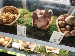 -滇野云南野生菌餐厅(陕西南路店)