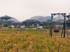 -紫鹊界梯田景区