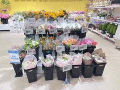 -盒马X会员店(上海森兰商都店)
