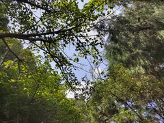 -金堂县云顶石城风景区