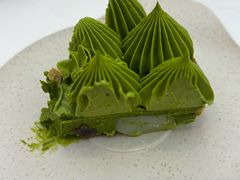 -猫里有甜