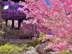 -茅山东方盐湖城景区