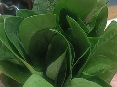 -草原塞蛮羊火锅城(港湾店)