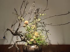 -花城粤菜餐厅(高新区店)