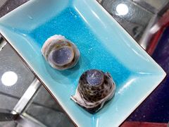 石斑鱼眼-齐海鱼圣深海石斑鱼火锅店(极地海洋世界店)
