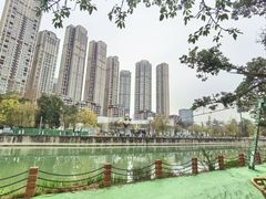 -成都市活水公园