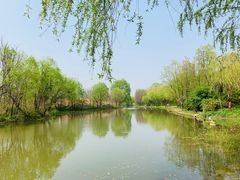 -新江湾城公园