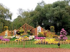 -上海共青森林公园