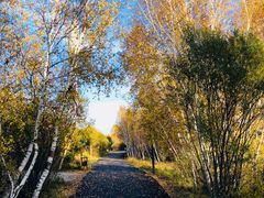 -塞罕坝国家级自然保护区