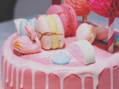 美人鱼芝士-随心小姐