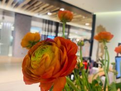 -LB·海菲秀牛奶光官方体验中心