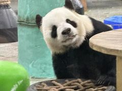 -临沂动植物园