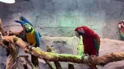 -Zoolung Zoolung动物主题公园(海信广场店)