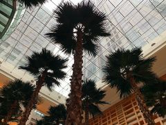 -威斯汀舞台餐厅