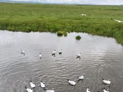 -花湖生态旅游区