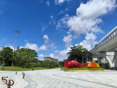 -阳台山森林公园