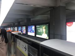 -望京西(地铁站)