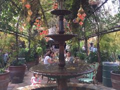 -The Grounds of Alexandria