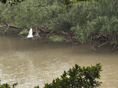 -崖口红树林海鲜餐厅
