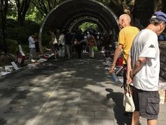 -人民公园-相亲角