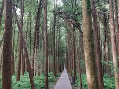 -同里国家湿地公园
