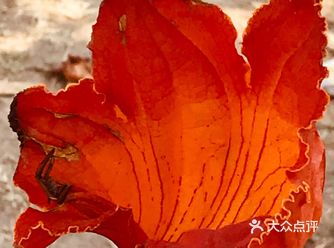 春天吶喊,春天氣息濃厚,大自然就是純粹的美!