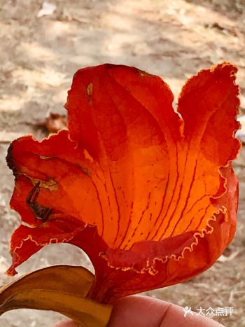 春天吶喊，春天氣息濃厚，大自然就是純粹的美！