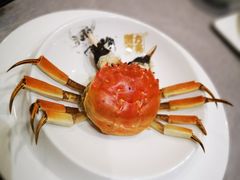 -新光酒家·河豚·海鲜·蟹料理(浦东店)