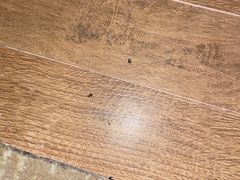 -深圳东部华侨城茵特拉根酒店